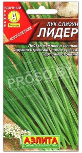 Лук слизун Лидер
