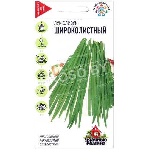 Лук слизун Широколистный