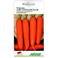 Морковь Амстердамска(я)
