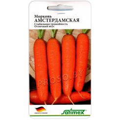 Морковь Амстердамска(я)