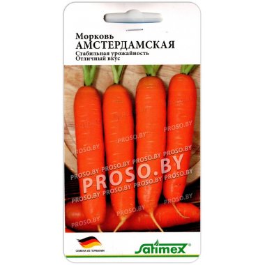 Морковь Амстердамска(я)