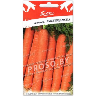 Морковь Амстердамска
