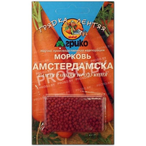 Морковь Амстердамска, гранулы