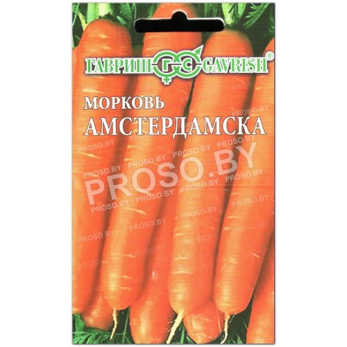 Морковь Амстердамска, на ленте