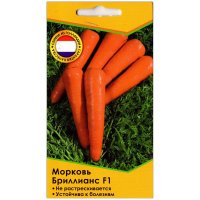 Морковь Бриллианс F1