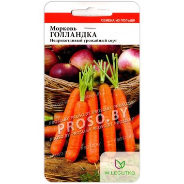 Морковь Голландка