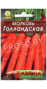 Морковь Голландская