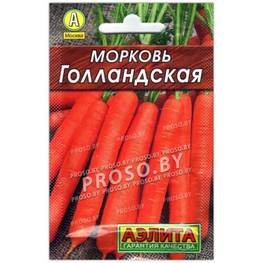 Морковь Голландская