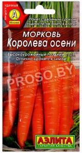 Морковь Королева осени