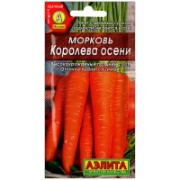 Морковь Королева осени