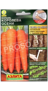 Морковь Королева осени, на ленте