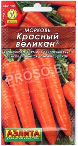 Морковь Красный великан