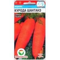 Морковь Курода шантанэ