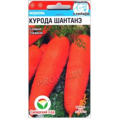 Морковь Курода шантанэ