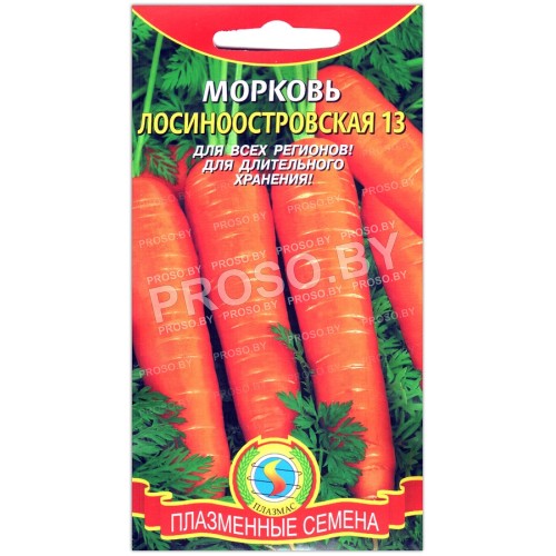 Морковь Лосиноостровская 13