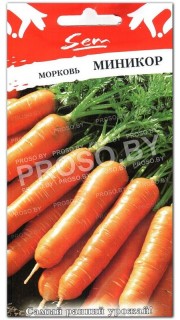 Морковь Миникор