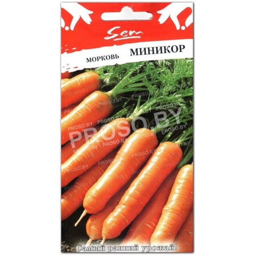 Морковь Миникор