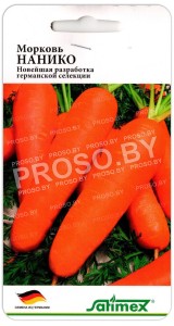 Морковь Нанико