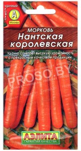 Морковь Нантская королевская