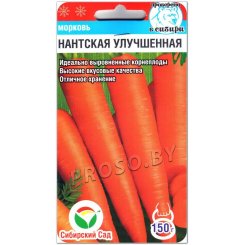 Морковь Нантская улучшенная