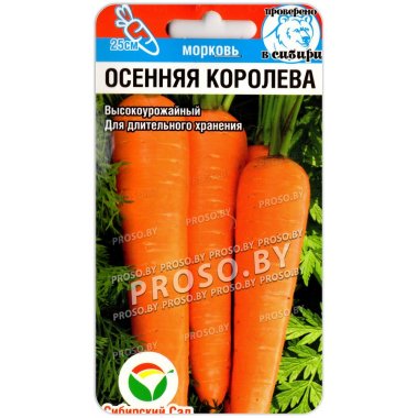 Морковь Осенняя королева