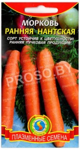 Морковь Ранняя нантская