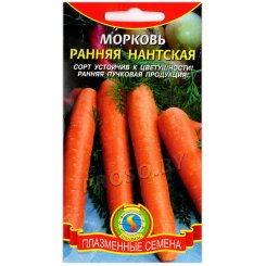 Морковь Ранняя нантская