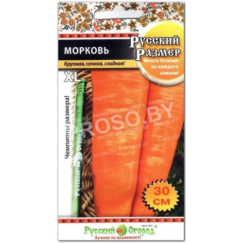 Морковь Русский размер