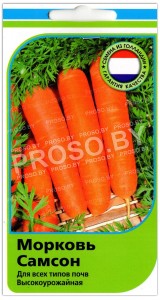 Морковь Самсон