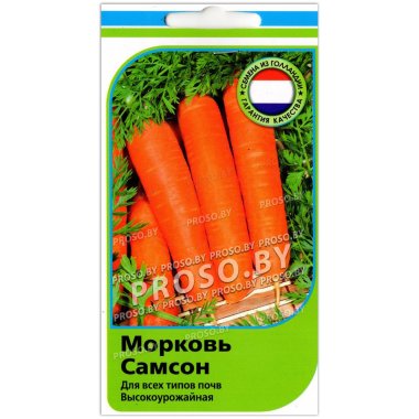 Морковь Самсон