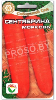 Морковь Сентябрина