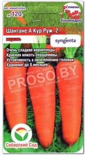 Морковь Шантане А Кур Руж 2