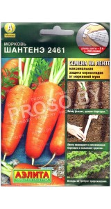Морковь Шантенэ 2461, на ленте