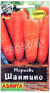 Морковь Шантино