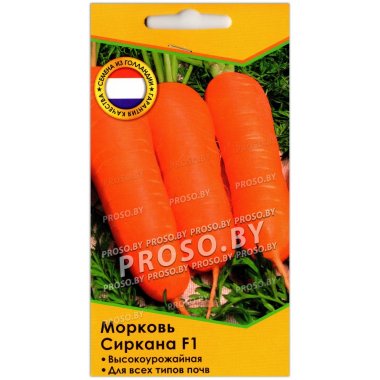Морковь Сиркана F1