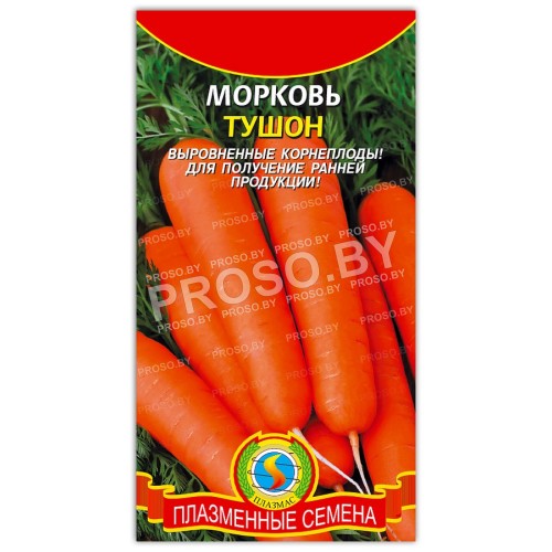 Морковь Тушон