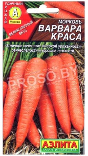 Морковь Варвара краса