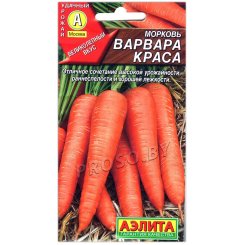 Морковь Варвара краса