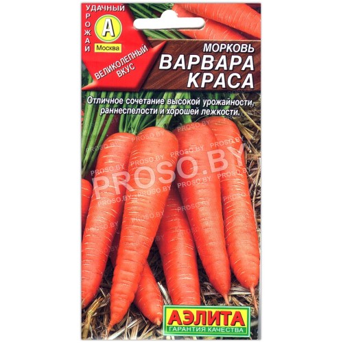 Морковь Варвара краса