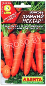 Морковь Зимний нектар
