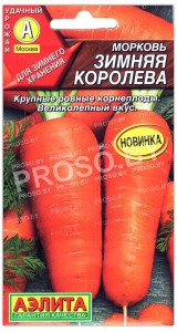 Морковь Зимняя королева