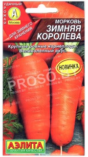 Морковь Зимняя королева