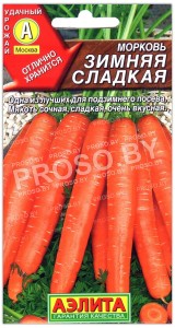 Морковь Зимняя сладкая