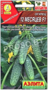 Огурец 12 месяцев F1