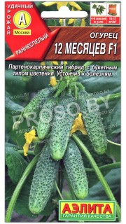Огурец 12 месяцев F1