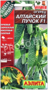 Огурец Алтайский пучок F1