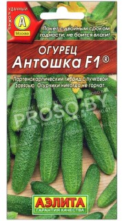 Огурец Антошка F1
