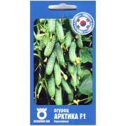 Огурец Арктика F1