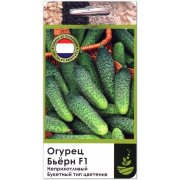 Огурец Бьерн F1