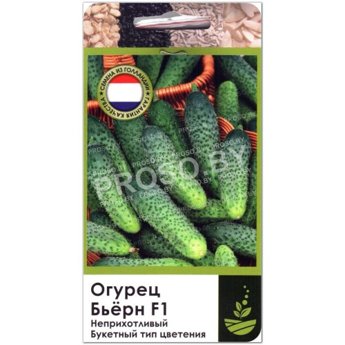Огурец Бьерн F1